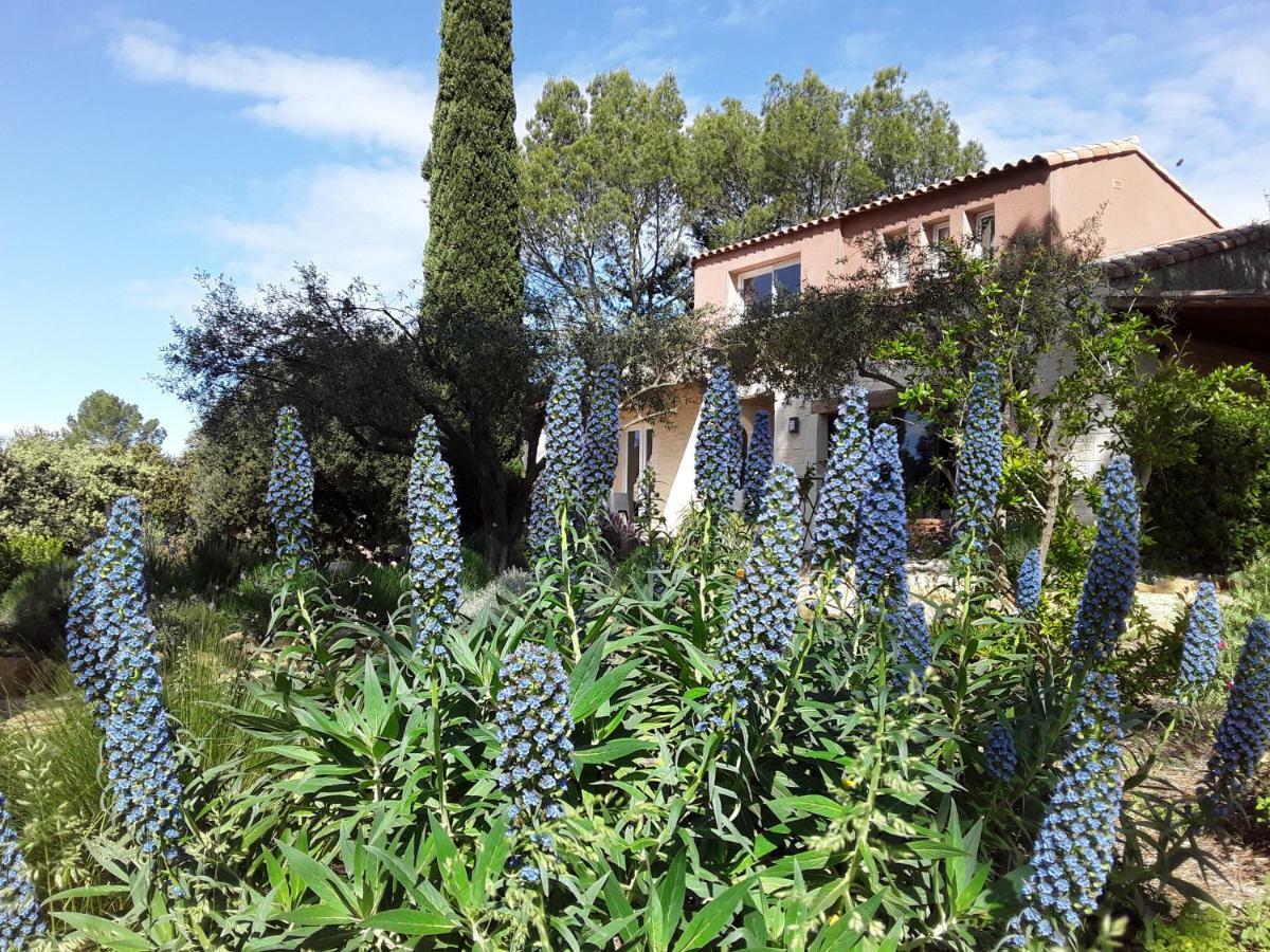 L'Atelier Panzió Saint-Maximin  Kültér fotó